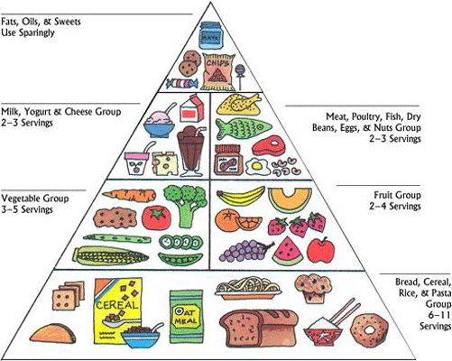 【参考】（米国版）the U.S. Department of Agriculture：Food Pyramid